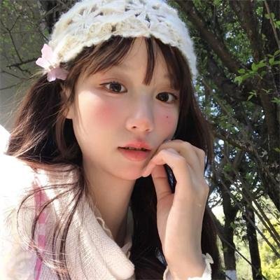 新鲁冰花